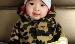 杨颖香港娱乐记者爆料,揭秘明星幕后故事